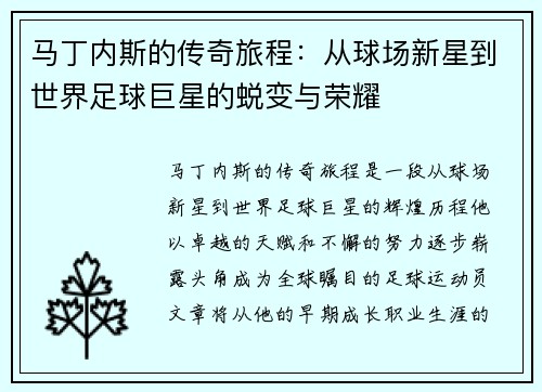 马丁内斯的传奇旅程：从球场新星到世界足球巨星的蜕变与荣耀